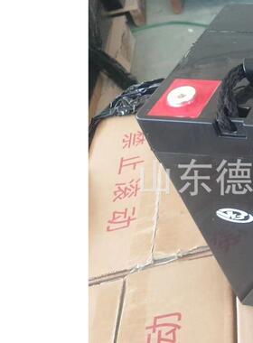 UPS EPS消防主机12V24AH20AHH100AH17AH38AH6H铅酸免维护