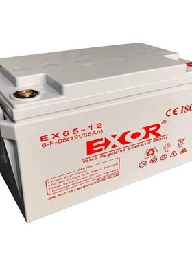 EXOR铅酸蓄电池NP100-12 12V100AH免维护电瓶