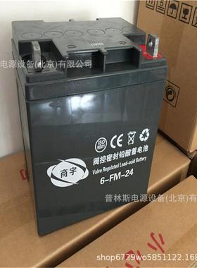 6-FM-24阀控式免维护铅酸蓄电池12V24AH直流屏机房路灯基站用