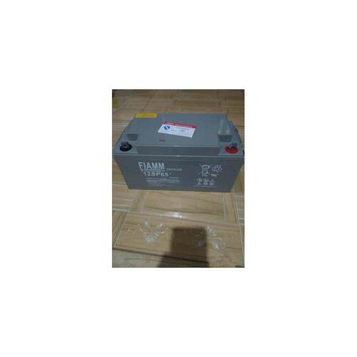 FIAMM12SP65非凡蓄电池