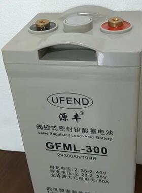 GFM-1000 2V1000AHUPS电源/直流屏/通讯机房风力储能