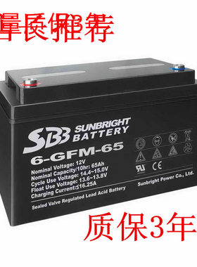 SBB圣豹蓄电池6-GFM-100