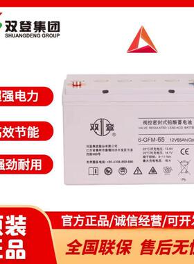 蓄电池6-GFM-65 12V65AH铅酸免维护机房设备储能备用