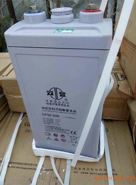 双登蓄电池 GFM2300AH 2V300ah UPS\免维护铅酸电瓶EPS直流屏