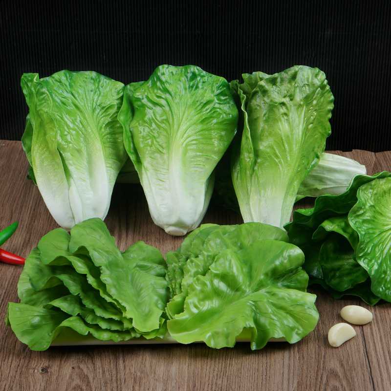 仿真生菜叶菜叶假蔬菜果蔬模型装饰摆设道具生菜摆件果蔬叶子大片