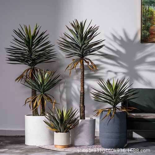 仿真龙舌兰盆栽热带植物龙血树
