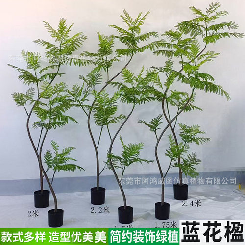 仿真蓝花楹绿植室内客厅龟背竹