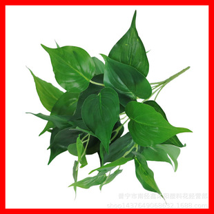 仿真青苹果鸡心绿萝叶假绿植墙面装饰过胶叶子室内植物墙插花配材