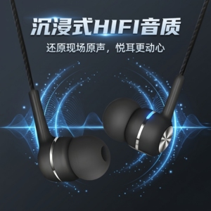 通用入耳式耳机type-c适用于vivo红米IQOOOPPO小米手机等数字耳机