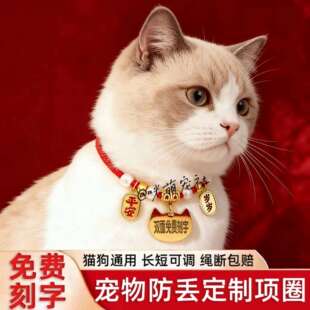 字宠红丢圈制吊牌费中刻防猫咪份牌小型犬泰物项迪狗绳免身狗定牌