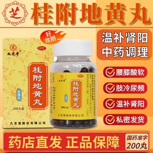 九芝堂 桂附地黄丸正品补肾养精强身肾阳虚肾虚尿频男性调理