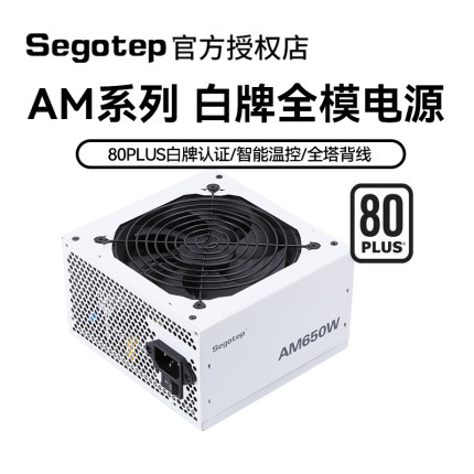 鑫谷AM650全模组650W白牌 台式机电脑静音电源AM750/850W/1000W