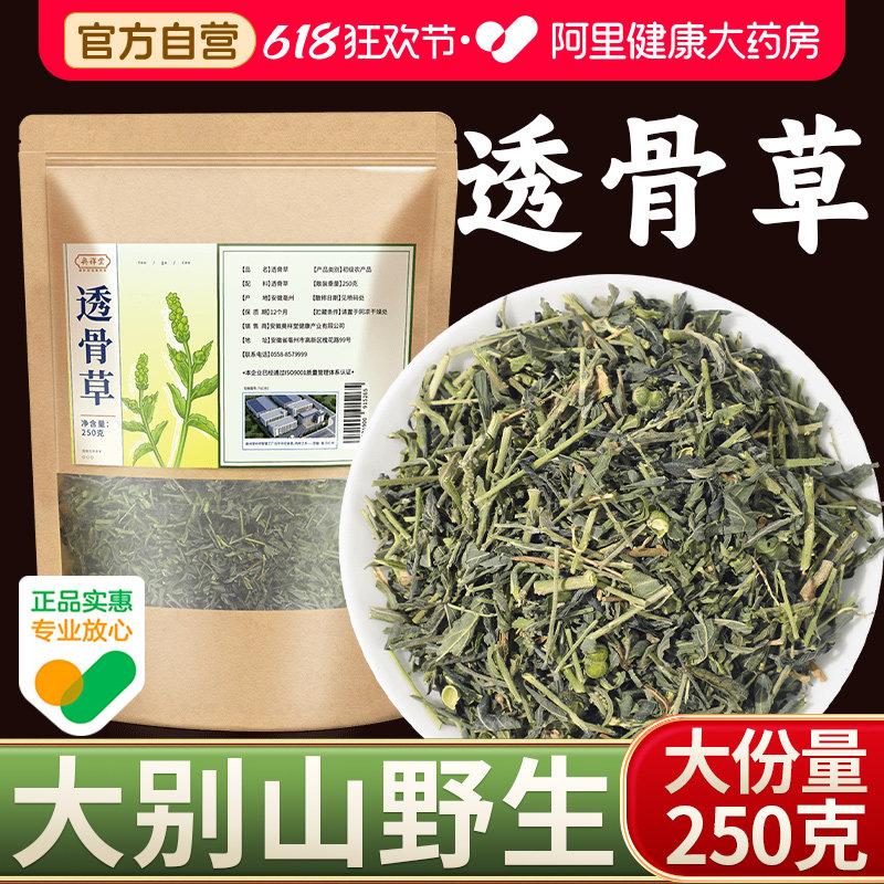 正品透骨草野生新货泡水喝珍珠伸筋草可泡脚中药材大别山野生