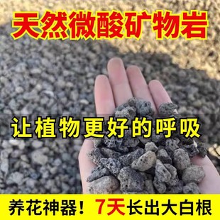 新疆西藏包邮微酸矿物岩颗粒土养花专用小石子多肉兰花铺面黑色火