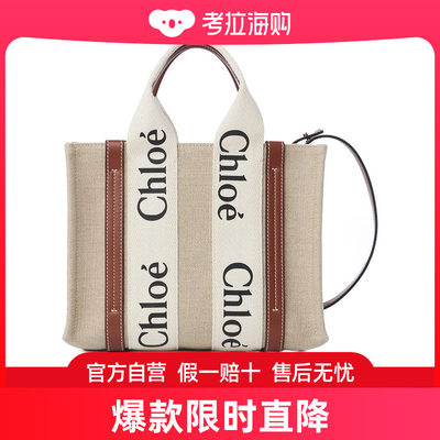 Chloe 小号 WOODY单肩包 CHC22AS397I26