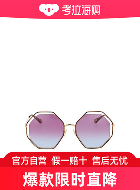 Chloe 徽标太阳镜 CH0046S