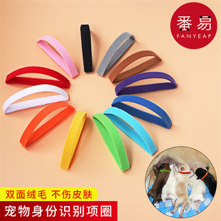 宠物项圈 幼猫宠物脖子标识带小狗猫咪用品 识别A1zb551