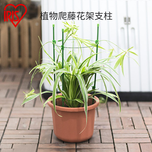 支架支柱园艺素材模板 支架支柱园艺图片下载 小麦优选