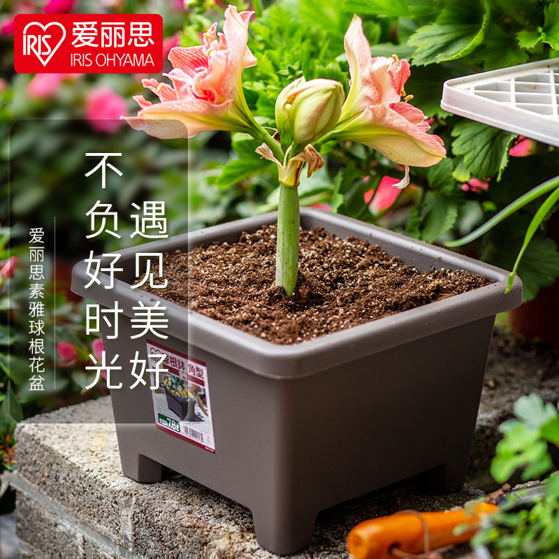 爱丽思方形圆形花卉盆栽植物花盆园艺阳台塑料花盆绿植盆球根百合|msdalam kategori penghantaran bunga/bunga simulasi/tumbuhan berkebun, pasu/bunga/flowerpot/Bunga (baru), flowerpot - dari Buy2taobao.com untuk memberikan perkhidmatan ejen Taobao profesional membeli