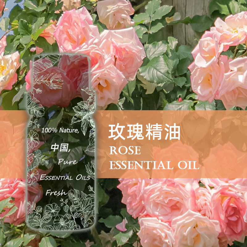 TLZY配制玫瑰精油 馥郁醉人 提亮肤色 面部身体护肤按摩香薰