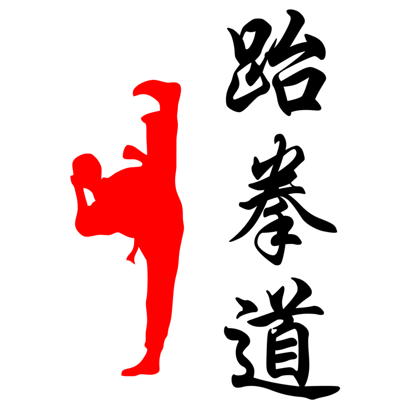 跆拳道馆培训班礼仪海报武术标语