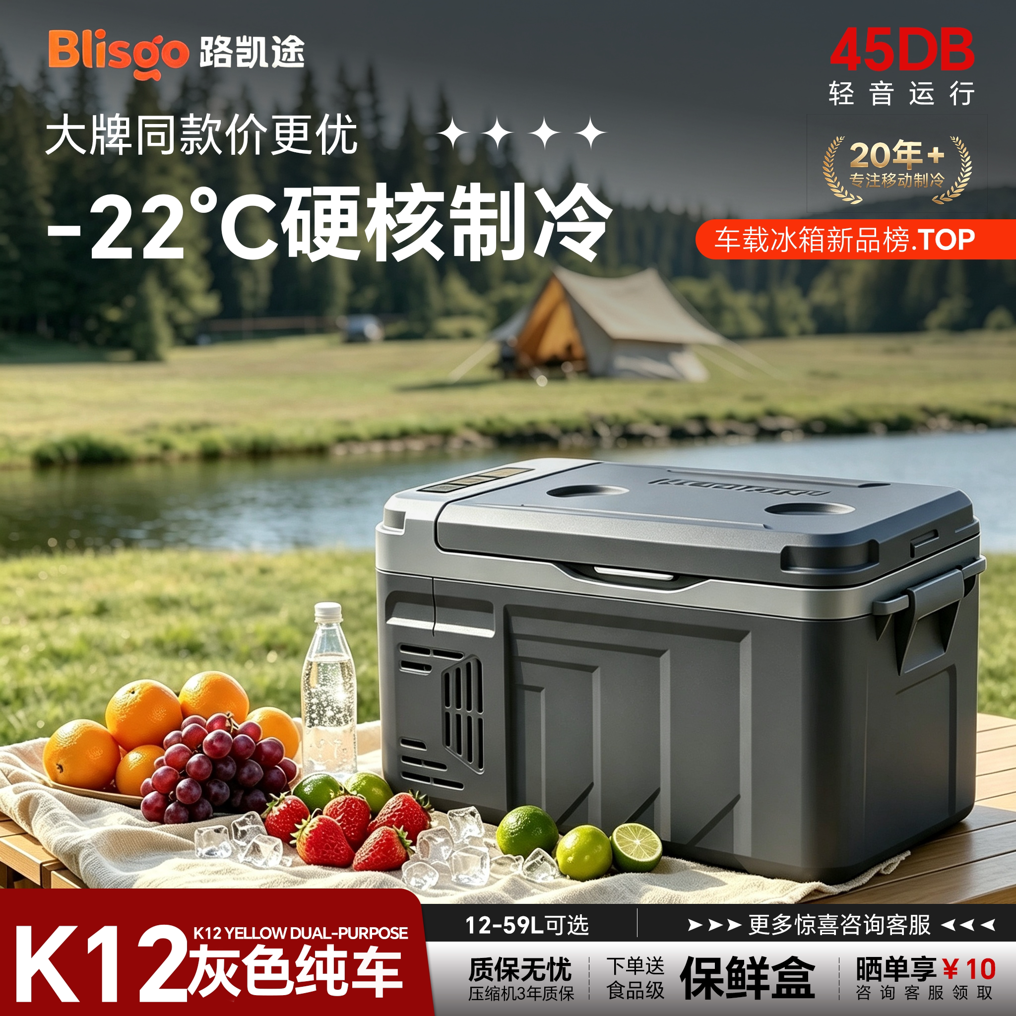 车家两用压缩机制冰柜12V24V货车