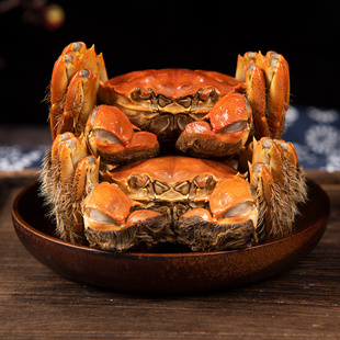 母2.5两 活蟹 大闸蟹公3.5两 严选精品 8只 金沐运澄
