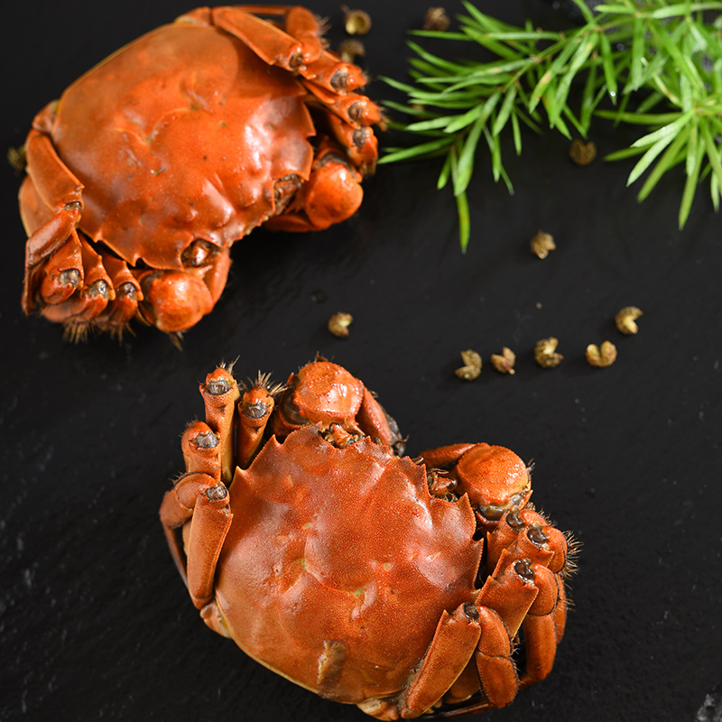 【活蟹】金沐运澄 严选精品大闸蟹鲜活 全母蟹3.5两