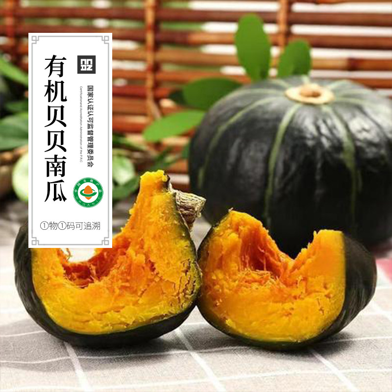 有机贝贝南瓜惠和一号板栗南瓜贝贝南瓜板栗味南瓜儿童宝宝辅食