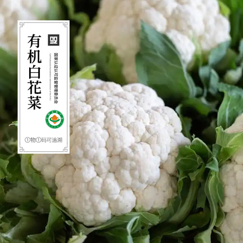 有机白花菜生鲜健康蔬菜有机生菜宝宝辅食无农残顺丰发货