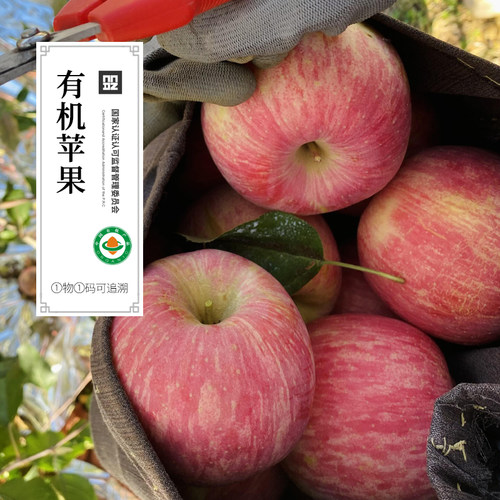 有机苹果 陕西红富士丑小苹果新鲜时令应季高端水果当季整箱礼盒