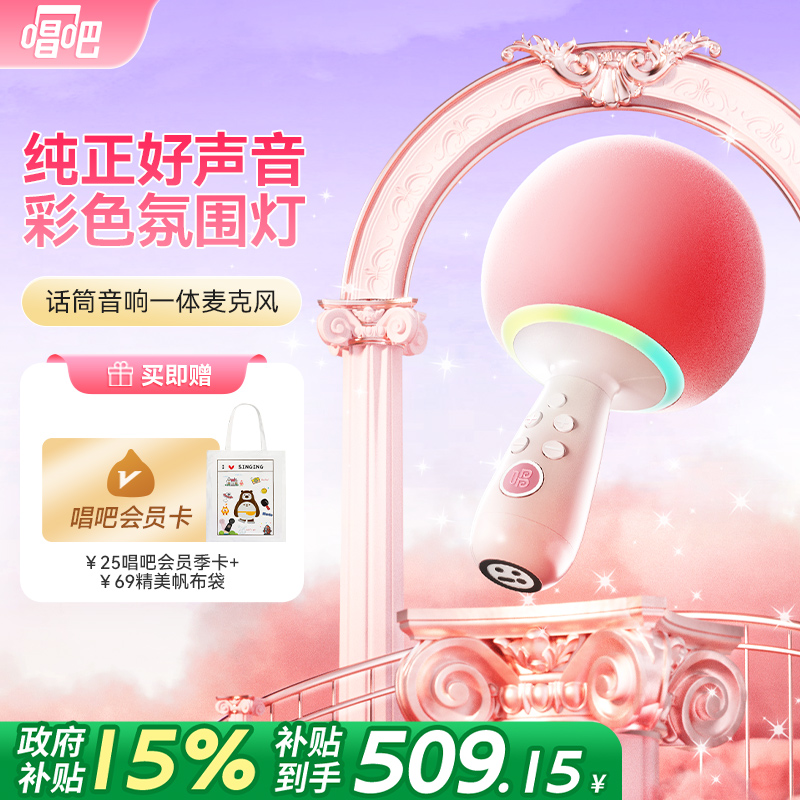 唱吧小巨蛋官方正品G2504B麦克风
