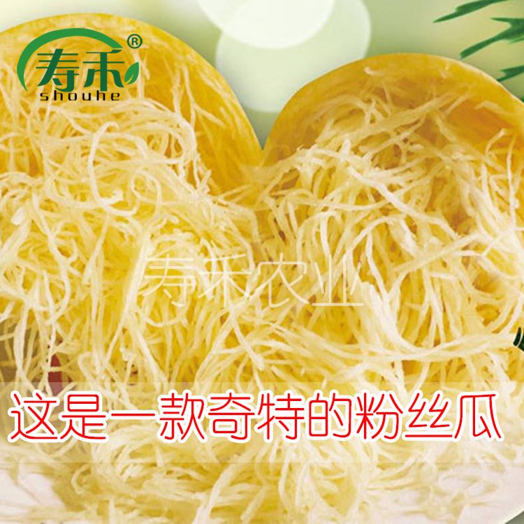 金丝搅瓜种子种籽苗丝瓜粉丝绞瓜苗黄葫金瓜西芦南瓜蔬菜秧孑茭瓜