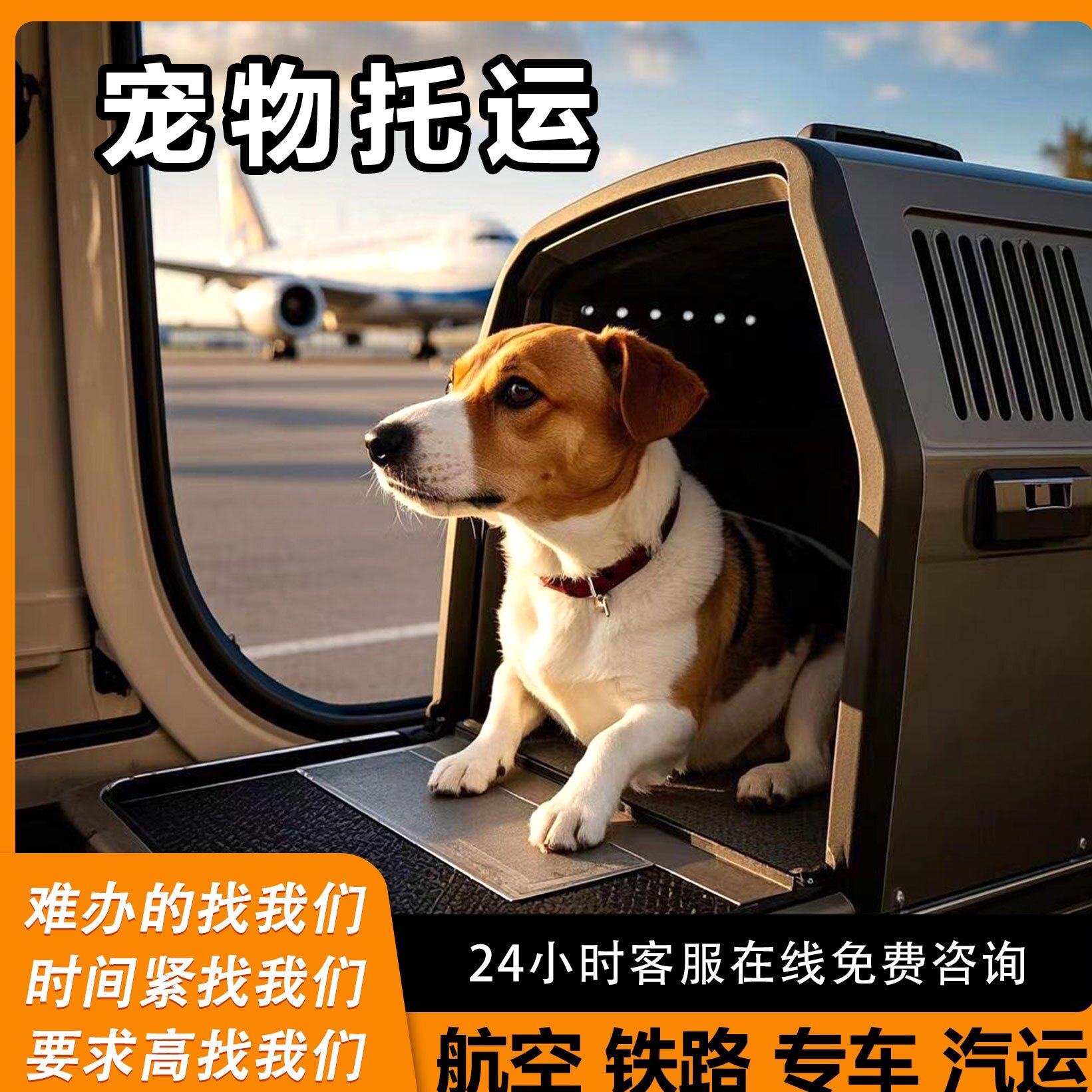 宠物托运全国服务猫狗狗空运陆运宠物托运