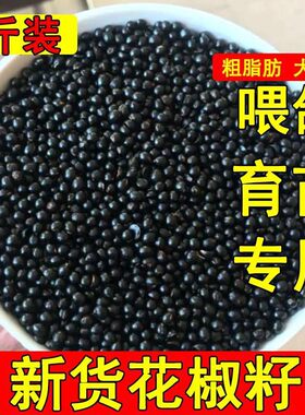 新货花椒籽鸽用鸽子饲料粮食信鸽鸽粮泡脚花椒种子育苗枕头砂批发