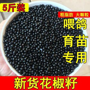 新货花椒籽鸽用鸽子饲料粮食信鸽鸽粮泡脚花椒种子育苗枕头砂批发