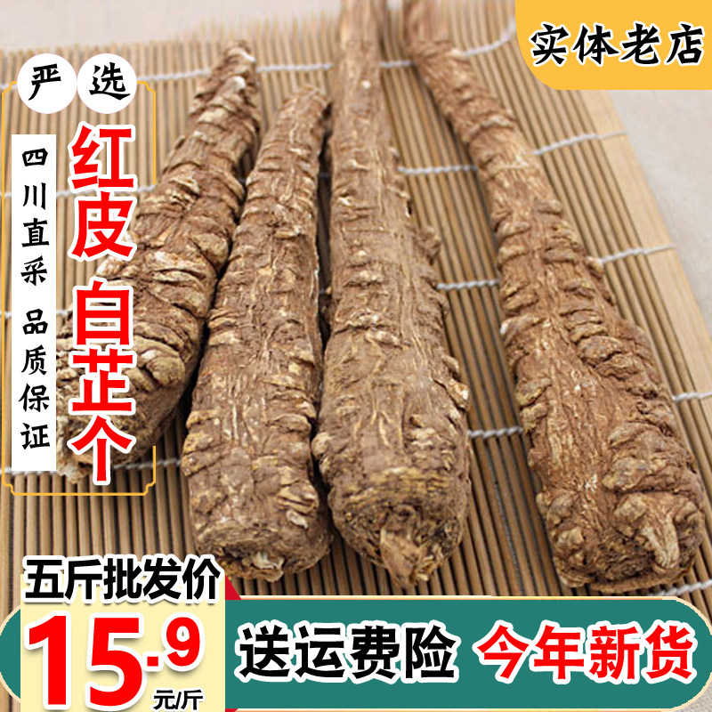 新货川白芷个根红皮克g包邮四川整大白止条粉纸香调料送运费险手