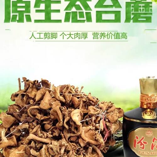正宗山西五台山野生台蘑