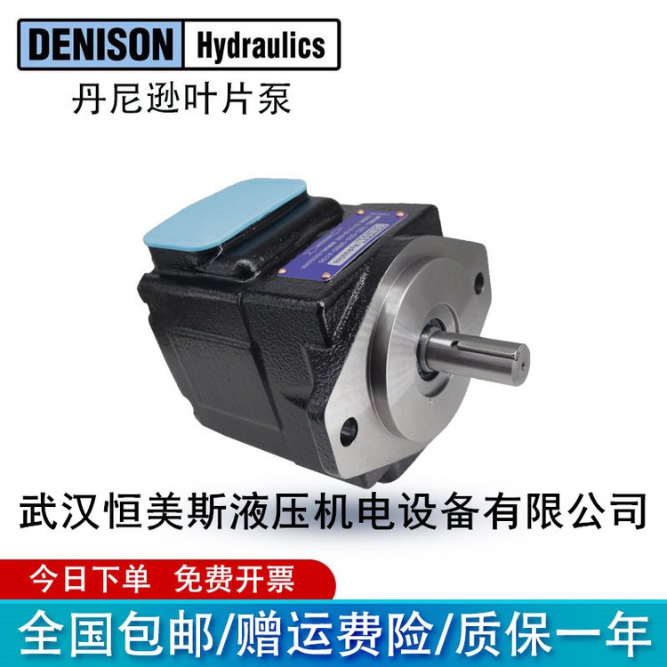 法国DENISON丹尼逊中压双联叶片泵T6CC0220031L03C110，柱塞泵A6V