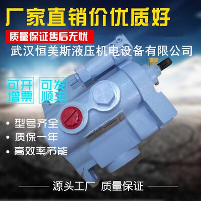 DENISON丹尼逊工程柱塞泵PVT20-2R1D-C02-000，柱塞泵A4VS0250DRG