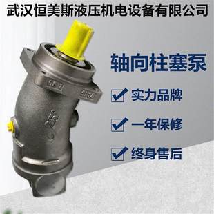 A2f107L3P6 A2f55R5P2 力士乐柱塞泵A2f12W1S6 德国Rexroth