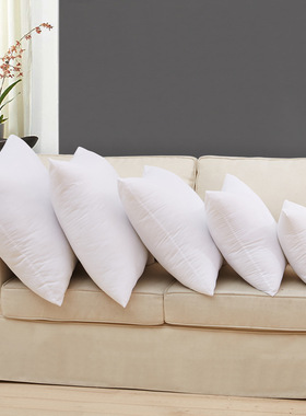 Throw Pillows Sofa Couch Cushion Decorative Pillow insert枕