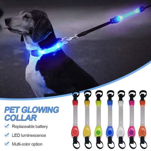 Dog Anti Lost Safety Glowing Collar Multi-Color Pendant Outd
