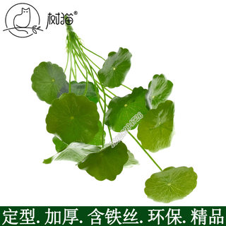 树猫仿真植物12头小荷叶塑料假花盆栽室内装饰绿植花卉迷你铜钱草