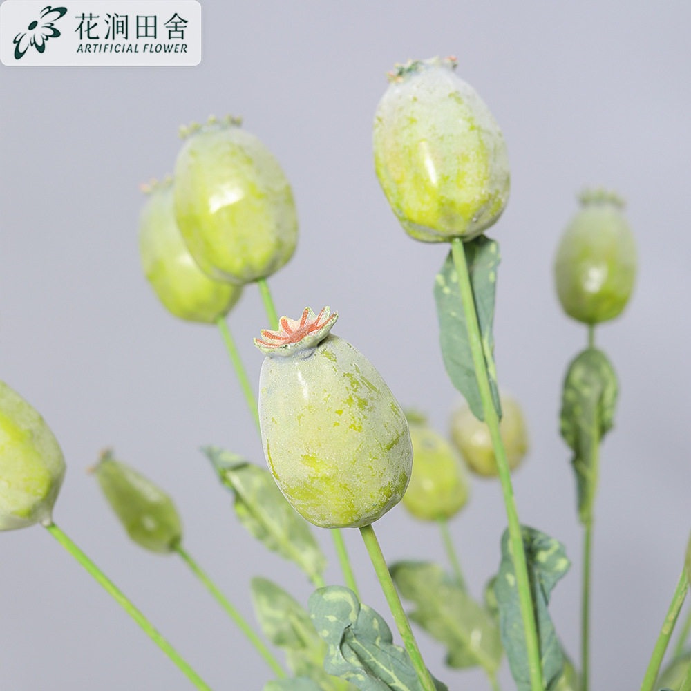 仿真绿植 罂粟果 复古田园僵尸果实家居装饰拍摄影道具假果浆果实