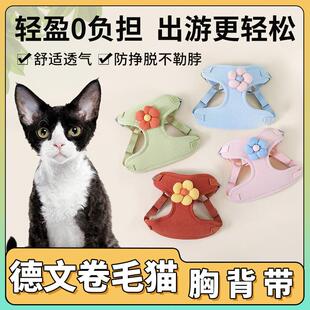 德文卷毛猫猫专用牵引绳背心式宠物猫咪胸背带外出遛猫绳防挣脱
