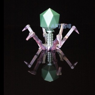 新疆西藏包邮噬菌体T4模型可活动老师创意礼物趣味益智微生物病毒