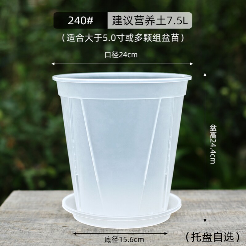 兰花号大盆蝴蝶兰@透气家用塑料控根杯种植专用花盆青山树脂透明