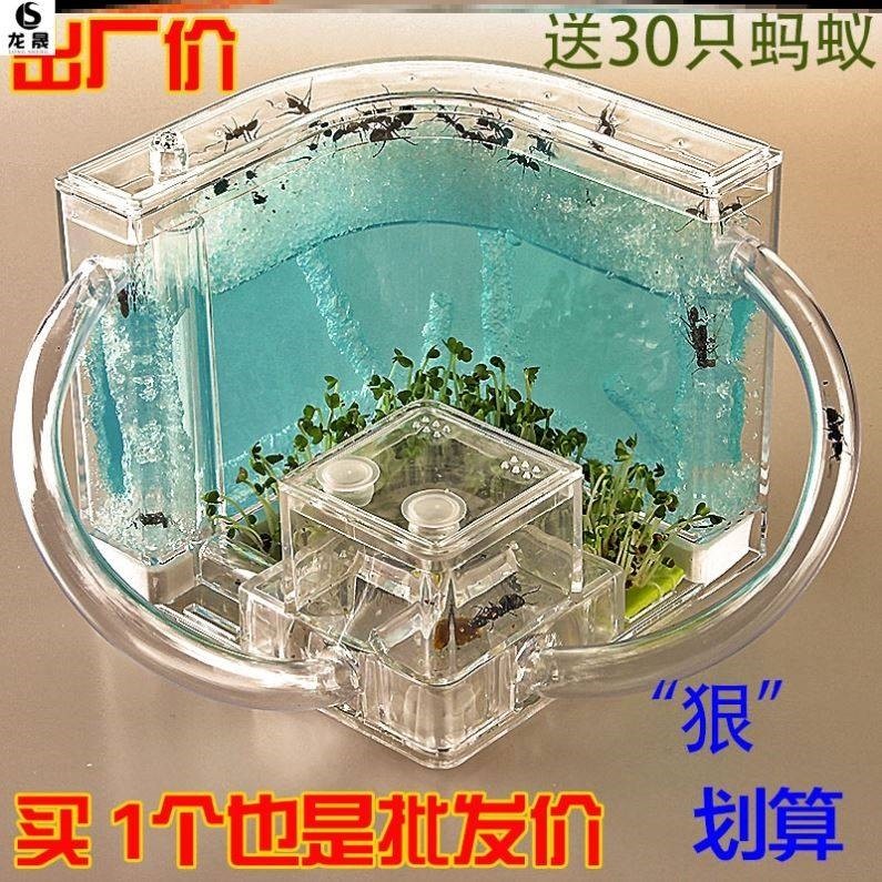 巢穴男孩养蚂蚁饲养饲养箱别墅乐园蚂蚁工坊观察盒宠物房屋窝生态