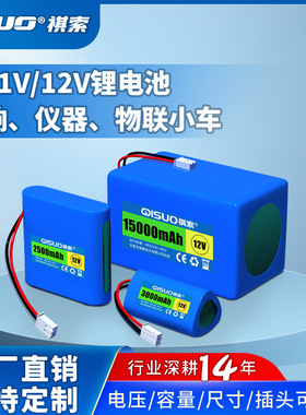 12V锂电池11.1伏太阳能LED灯电源音响电池带吸尘器洗车机加湿器